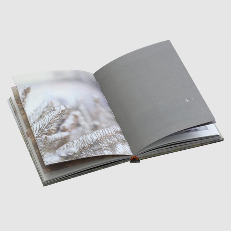 How Can an Enterprise Brochure Transform Corporate Communication and Brand Identity?